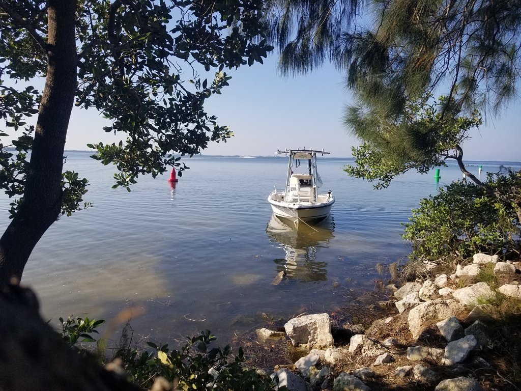 20170917-094629.jpg