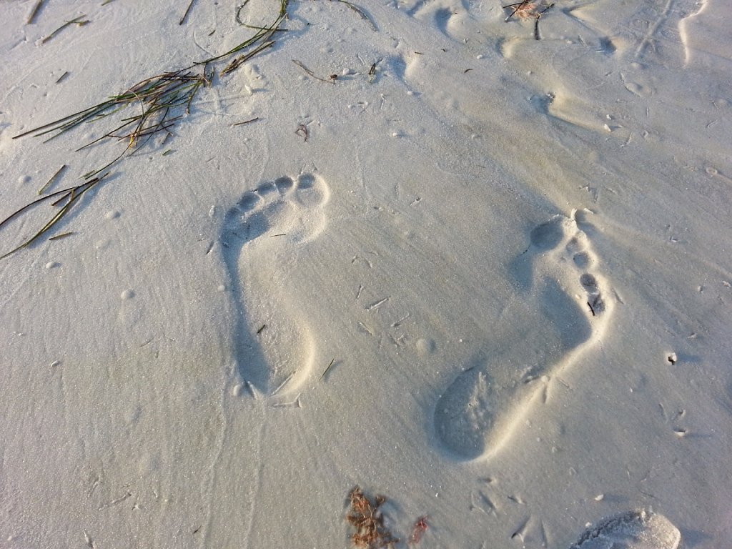BIG Feet
