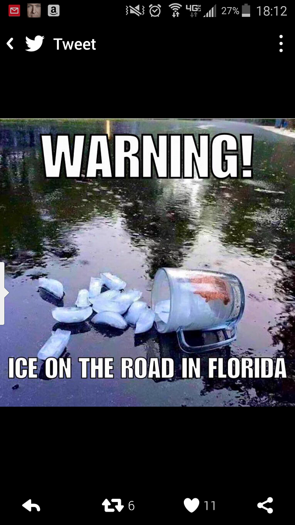Road Hazard