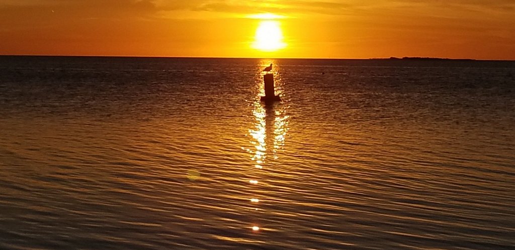 Solo Sunset