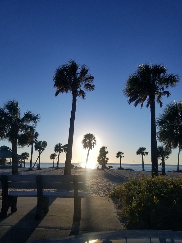 Palm Sunset