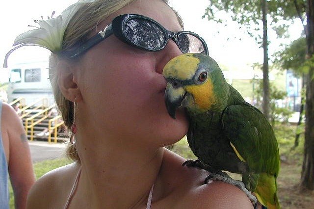 Sweet Amazon